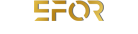 Sponsor Adı