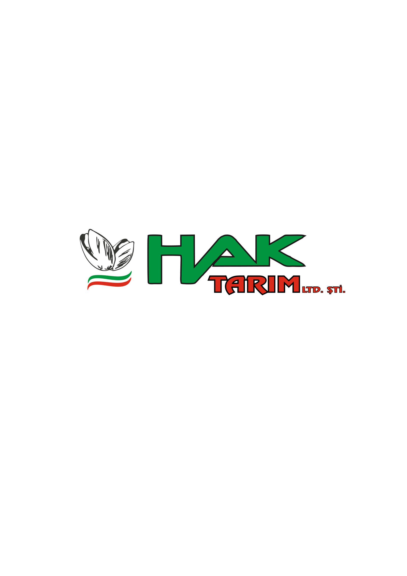 Sponsor Adı